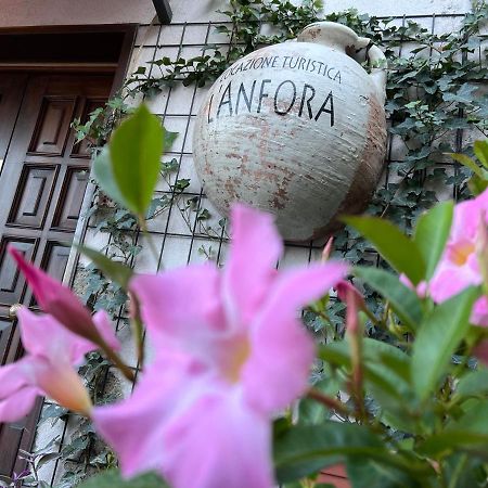 L' Anfora Locazione Turistica Apartment Terni Exterior foto